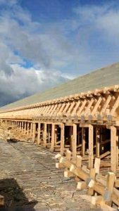 B54da061 F1cf 4cd3 Bc9d 934ddf3ea5e2 169x300